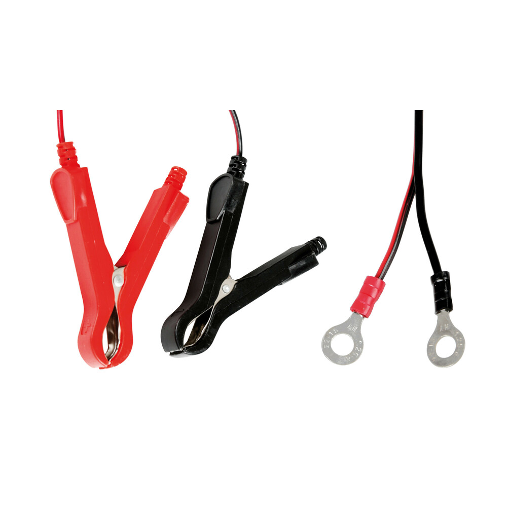 ΦΟΡΤΙΣΤΗΣ/ΣΥΝΤΗΡΗΤΗΣ ΜΠΑΤΑΡΙΑΣ AMPEROMATIC BIKE 6/12V 1A 2>20Ah GEL/STD/SMF/AGM/EFB/LiFePo4 LAMPA - 1 ΤΕΜ ΦΟΡΤΙΣΤΗΣ/ΣΥΝΤΗΡΗΤΗΣ ΜΠΑΤΑΡΙΑΣ AMPEROMATIC BIKE 6/12V 1A 2>20Ah GEL/STD/SMF/AGM/EFB/LiFePo4 LAMPA - 1 ΤΕΜ