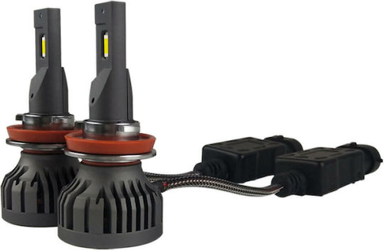 Λάμπες Led Beltec H11 55W Canbus 5500Lm/6000K/IP 67 - 2 Τεμ Λάμπες Led Beltec H11 55W Canbus 5500Lm/6000K/IP 67 - 2 Τεμ