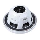 ROCKFORD FOSGATE M0-65 (6.5" - IPX6 - 250W)