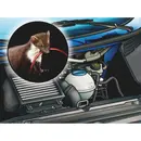 Προστατευτικό Καλωδίων από Τρωκτικά Würth 250ml
