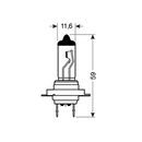 Lampa H7 ΑΛΟΓΟΝΟΥ 12V/55W PX26d