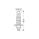 H1 12V 55W P14,5s
