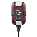 ΦΟΡΤΙΣΤΗΣ/ΣΥΝΤΗΡΗΤΗΣ ΜΠΑΤΑΡΙΑΣ AMPEROMATIC BIKE 6/12V 1A 2>20Ah GEL/STD/SMF/AGM/EFB/LiFePo4 LAMPA - 1 ΤΕΜ