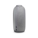 JBL HORIZON 2 (GREY)
