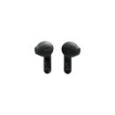 JBL TUNE FLEX 2 (GHOST BLACK)