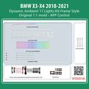 DIGITAL IQ AMBIENT 8173D_U DYNAMIC (Ambient Light for BMW X3 - X4 mod. 2018-2021 with 17 Lights, Dynamic)