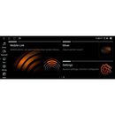 DIGITAL IQ TPG 15972_CPA (10.25inc) (CIC) MULTIMEDIA SYSTEM for BMW X3 (F25) mod. 2011-2013