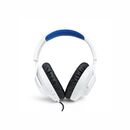 JBL QUANTUM 100P