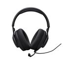 JBL QUANTUM 100M2 (BLACK)